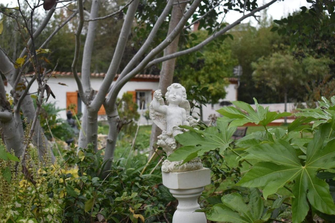 L'Oranger - Magnifique Studio Independant Sur Mougins Avec Jacuzzi Prive - Parking - Climatisation المظهر الخارجي الصورة